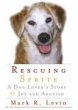 Rescuing Sprite (eBook, ePUB) - Bild 1