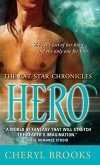 Hero (eBook, ePUB)
