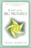 The Little Book of Big Promises (eBook, ePUB)