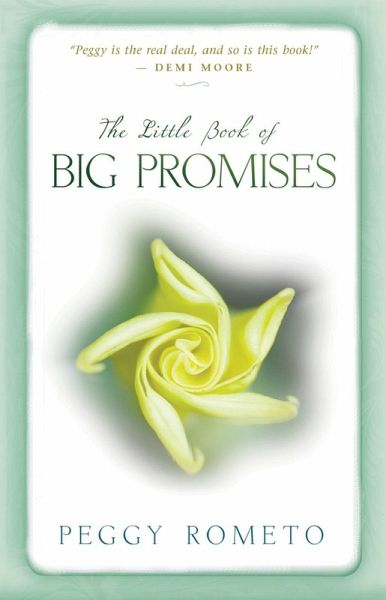 The Little Book of Big Promises (eBook, ePUB)