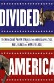 Divided America (eBook, ePUB)