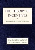 Theory of Incentives (eBook, PDF)