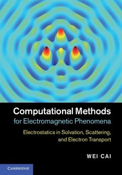 Computational Methods for Electromagnetic Phenomena (eBook, ePUB) - Cai, Wei