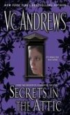 Secrets in the Attic (eBook, ePUB)