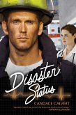 Disaster Status (eBook, ePUB)