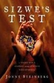 Sizwe's Test (eBook, ePUB)