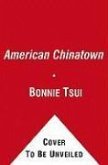 American Chinatown (eBook, ePUB)