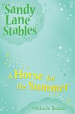 Horse for the Summer (eBook, ePUB)