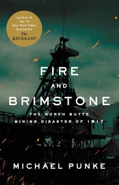 Fire and Brimstone (eBook, ePUB) - Punke, Michael