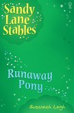 Runaway Pony (eBook, ePUB)