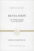 Revelation (eBook, ePUB)