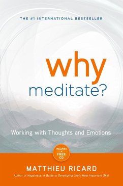 Why Meditate? (eBook, ePUB) - Ricard, Matthieu