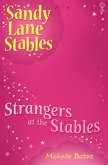 Strangers at the Stable (eBook, ePUB)