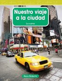 Nuestro viaje a la ciudad (eBook, PDF)