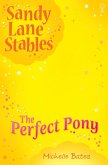 Perfect Pony (eBook, ePUB)
