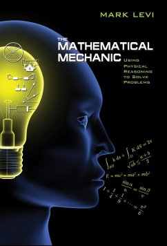 Mathematical Mechanic (eBook, ePUB) - Levi, Mark