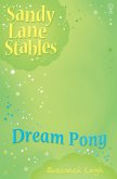 Dream Pony (eBook, ePUB) Dream Pony (eBook, ePUB)
