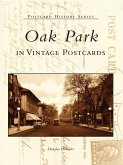 Oak Park in Vintage Postcards (eBook, ePUB)