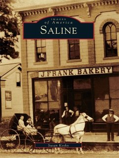 Saline (eBook, ePUB) - Kosky, Susan