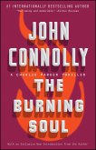 The Burning Soul (eBook, ePUB)