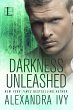 Darkness Unleashed (eBook, ePUB) - Bild 1
