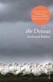 The Detour (eBook, ePUB)