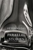 Parallel Stories (eBook, ePUB)