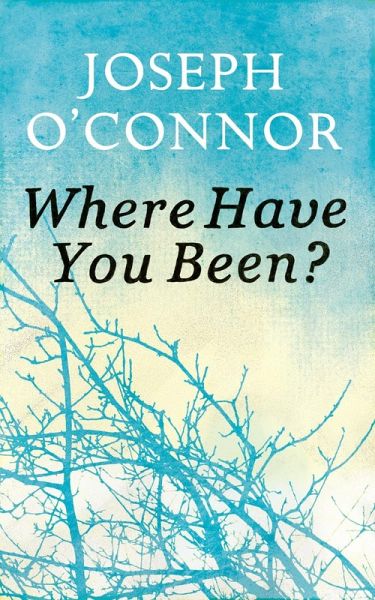 Where Have You Been? (eBook, ePUB)