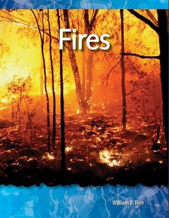 Cover Fires (eBook, PDF)