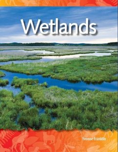 Cover Wetlands (eBook, PDF)