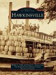 Hawkinsville (eBook, ePUB) - Bild 1