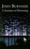 A Summer of Drowning (eBook, ePUB)