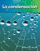 condensacion (eBook, PDF)