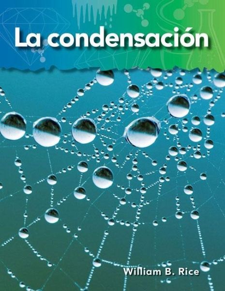 condensacion (eBook, PDF)