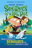 Mom, There's a Dinosaur in Beeson's Lake (eBook, ePUB)
