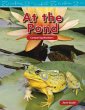 At the Pond (eBook, PDF) - Bild 1