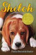Shiloh (eBook, ePUB) - Bild 1