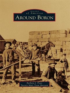 Cover Around Boron (eBook, ePUB)