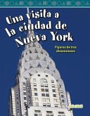 Una visita a la ciudad de Nueva York (eBook, PDF)