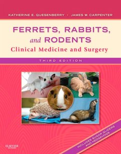 Ferrets, Rabbits and Rodents - E-Book (eBook, ePUB) - Quesenberry, Katherine; Carpenter, James W.