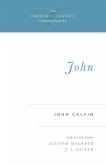 John (eBook, ePUB)