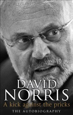A Kick Against The Pricks (eBook, ePUB) - Norris, David