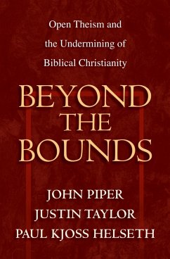 Beyond the Bounds (eBook, ePUB)