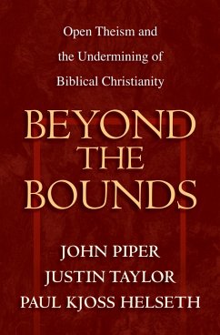 Cover Beyond the Bounds (eBook, ePUB)