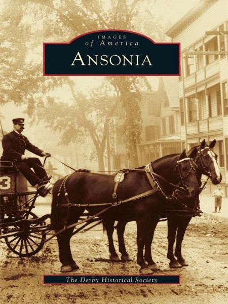 Ansonia (eBook, ePUB)