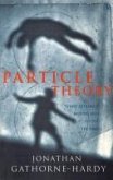 Particle Theory (eBook, ePUB)