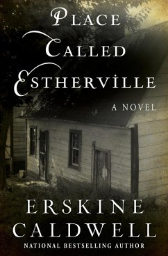 Cover Place Called Estherville (eBook, ePUB)