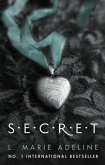 Secret (eBook, ePUB)
