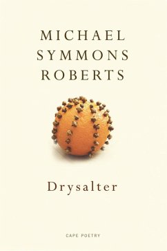 Drysalter (eBook, ePUB) - Symmons Roberts, Michael