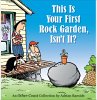 This Is Your First Rock Garden, Isn't... - Bild 1
